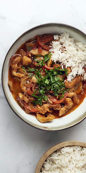 Gyros de poulet et riz